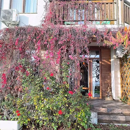 - Garden Of Eden